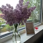 Stadtnahes Gaestezimmer Im Penthouse بيت ضيافة توبنجن