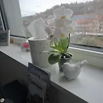 게스트하우스 Stadtnahes Gaestezimmer Im Penthouse 투빈겐