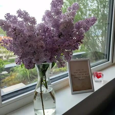 Stadtnahes Gaestezimmer Im Penthouse Bei Esi *