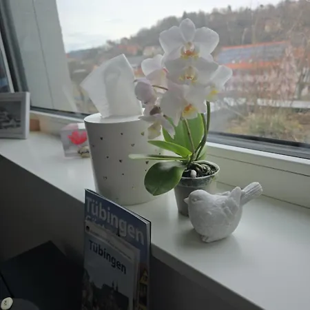 Stadtnahes Gaestezimmer Im Penthouse Bei Esi בית אירוח