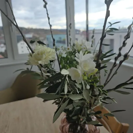 Stadtnahes Gaestezimmer Im Penthouse Bei Esi טובינגן