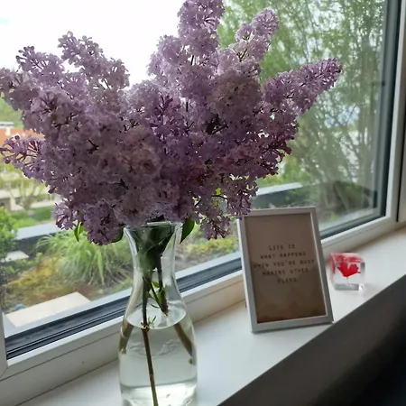 Pensión Stadtnahes Gaestezimmer Im Penthouse