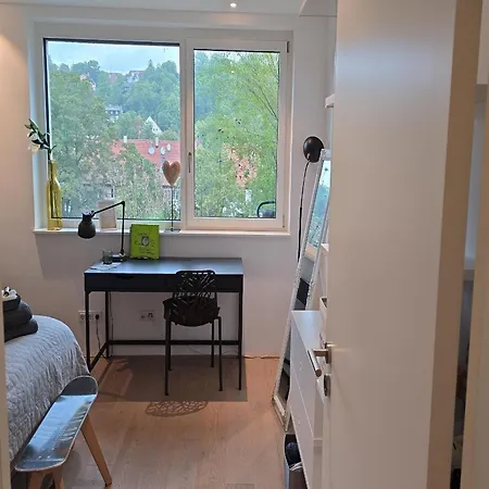 게스트하우스 Stadtnahes Gaestezimmer Im Penthouse