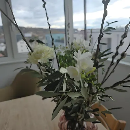 Stadtnahes Gaestezimmer Im Penthouse 3*