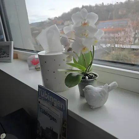 Guest house Stadtnahes Gaestezimmer Im Penthouse Tuebingen